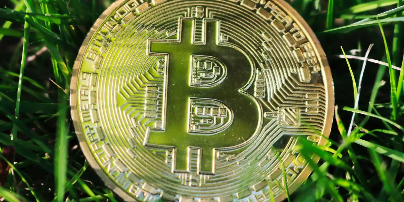 A visual representation of Bitcoin mining operations powered by sustainable energy sources